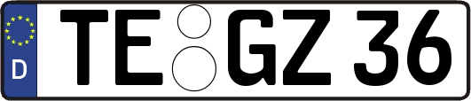 TE-GZ36