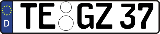 TE-GZ37