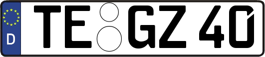 TE-GZ40