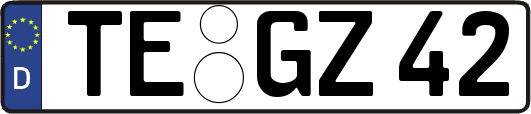 TE-GZ42