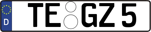 TE-GZ5