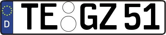 TE-GZ51