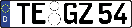 TE-GZ54