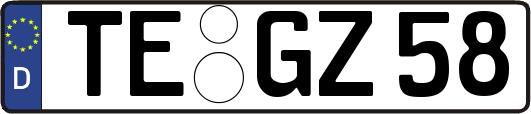 TE-GZ58
