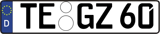TE-GZ60