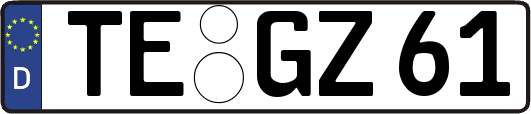 TE-GZ61