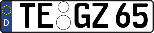 TE-GZ65