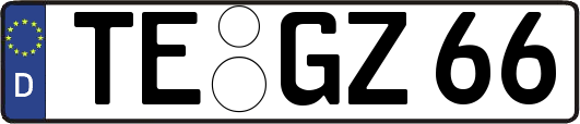 TE-GZ66