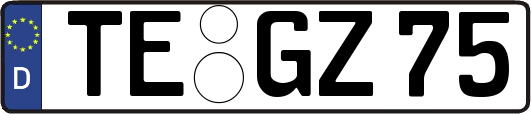 TE-GZ75