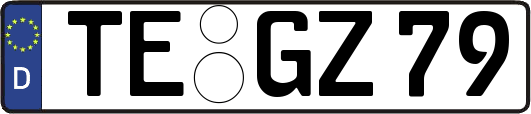 TE-GZ79
