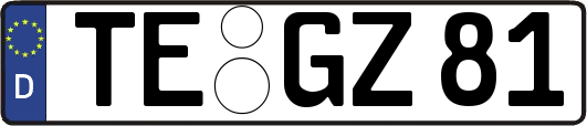 TE-GZ81
