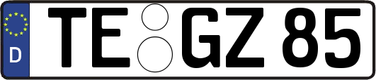 TE-GZ85
