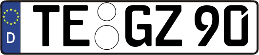 TE-GZ90