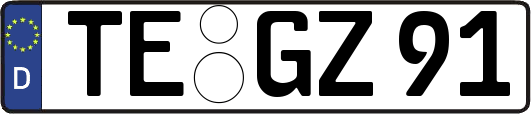 TE-GZ91