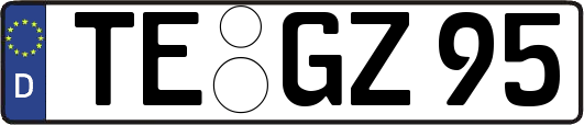TE-GZ95