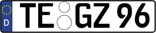 TE-GZ96