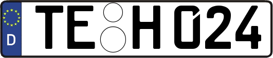 TE-H024
