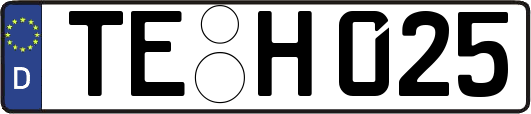 TE-H025