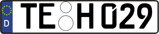 TE-H029