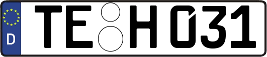 TE-H031