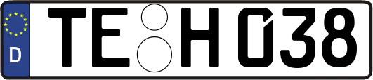 TE-H038