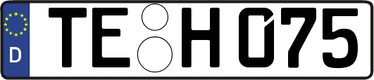 TE-H075