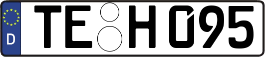 TE-H095