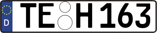 TE-H163