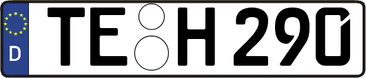 TE-H290