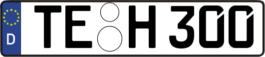 TE-H300