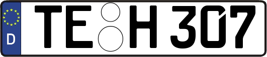 TE-H307