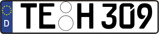 TE-H309