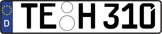 TE-H310