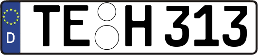 TE-H313