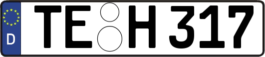 TE-H317
