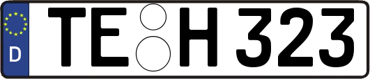 TE-H323