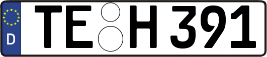 TE-H391