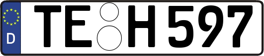 TE-H597