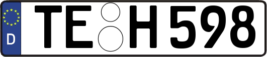 TE-H598