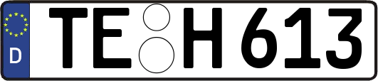 TE-H613
