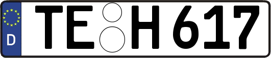 TE-H617