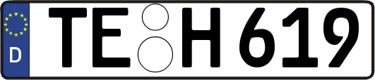 TE-H619