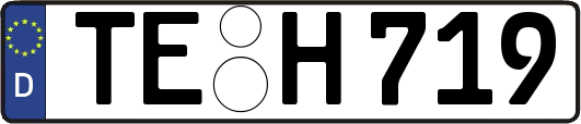 TE-H719