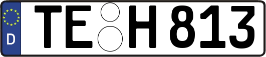 TE-H813