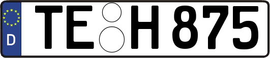 TE-H875