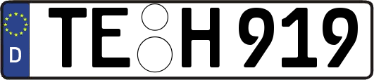 TE-H919
