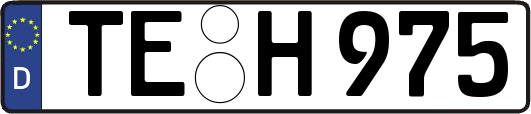TE-H975