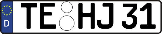 TE-HJ31