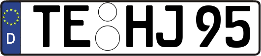 TE-HJ95