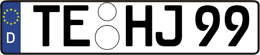 TE-HJ99